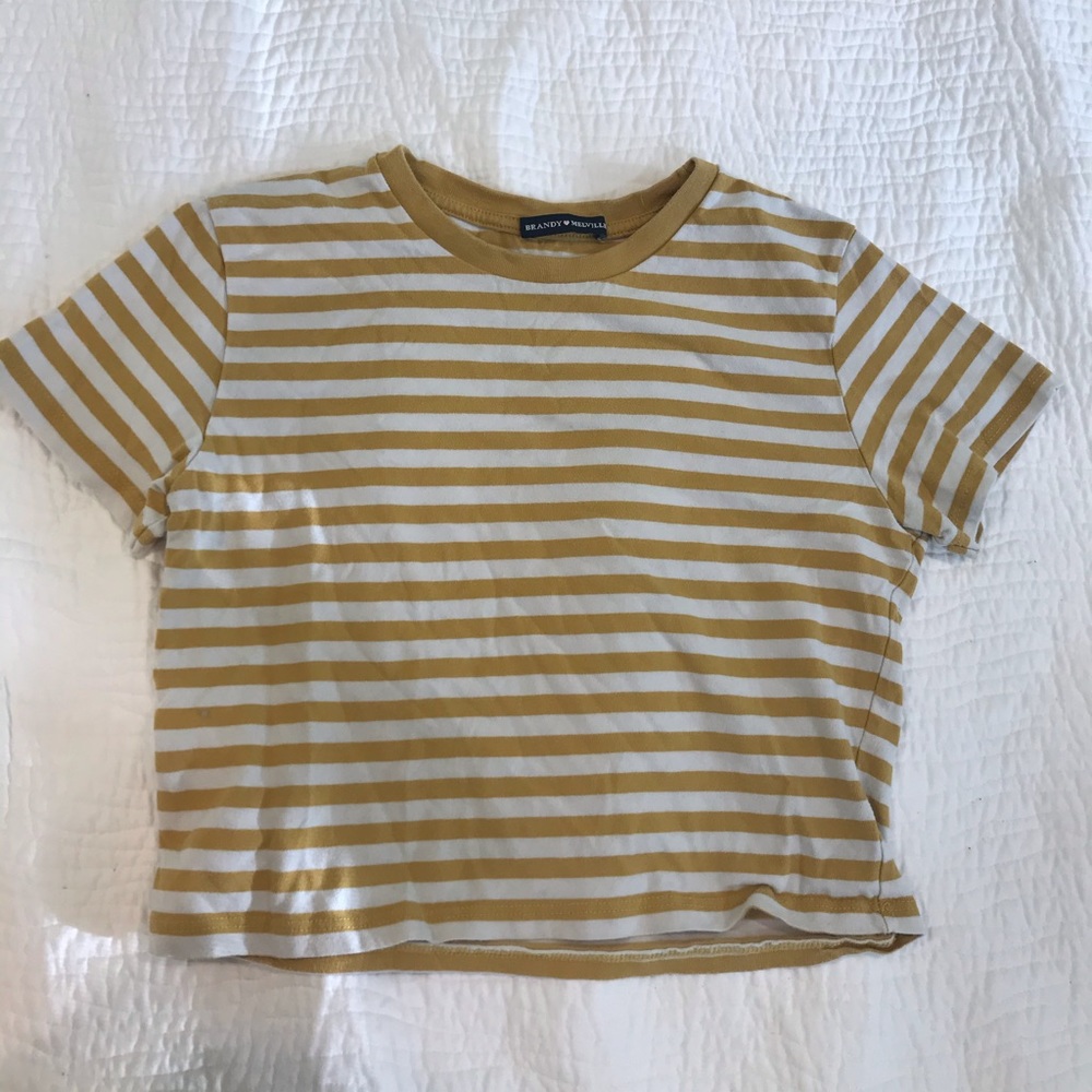 Brandy Melville cropped T